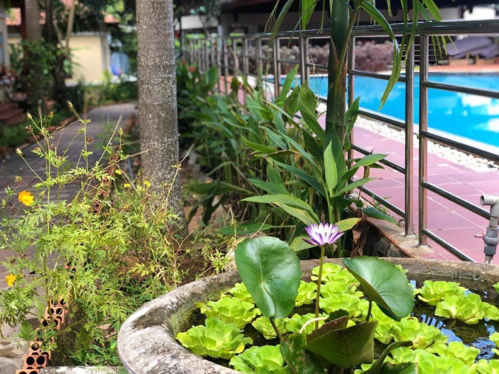 Castaways Resort דואונג דונג מראה חיצוני תמונה